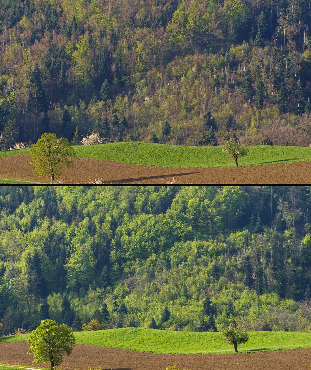 Les émissions de CO2 qui impactent le bilan carbone ‘officiel’ de la Suisse
