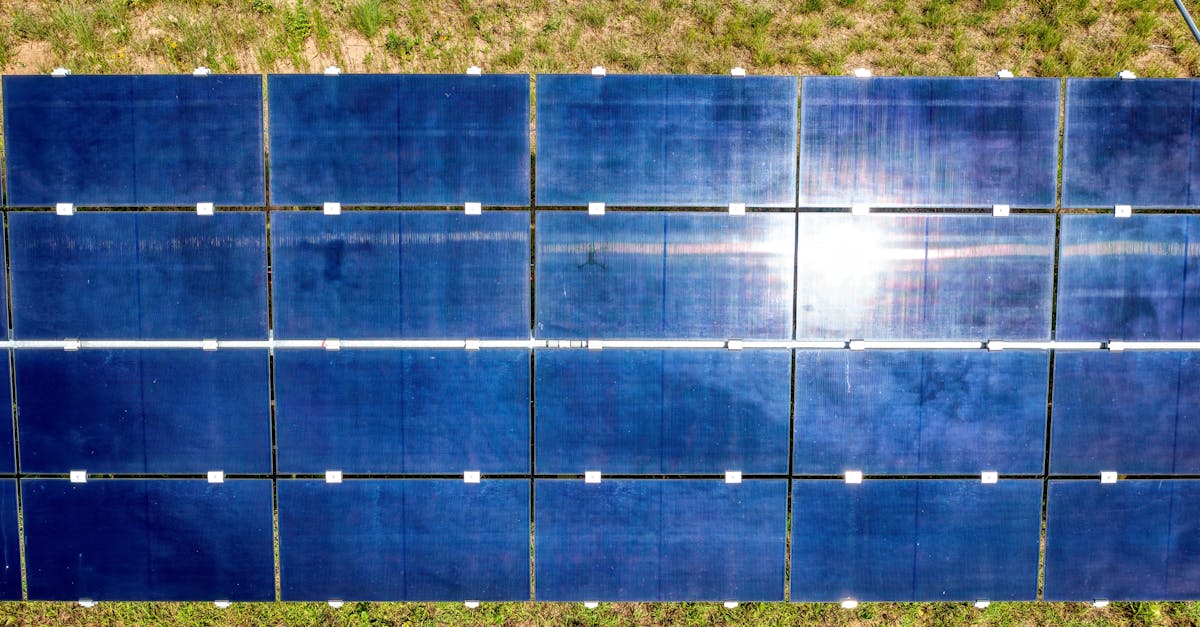 Développement d’infrastructures vertes : vers un avenir durable et respectueux de l’environnement