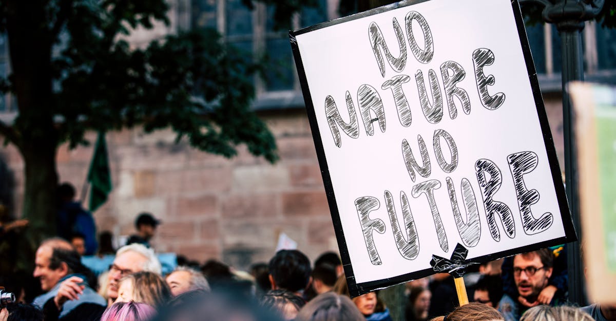 Changement climatique : comprendre ses impacts sur la biodiversité