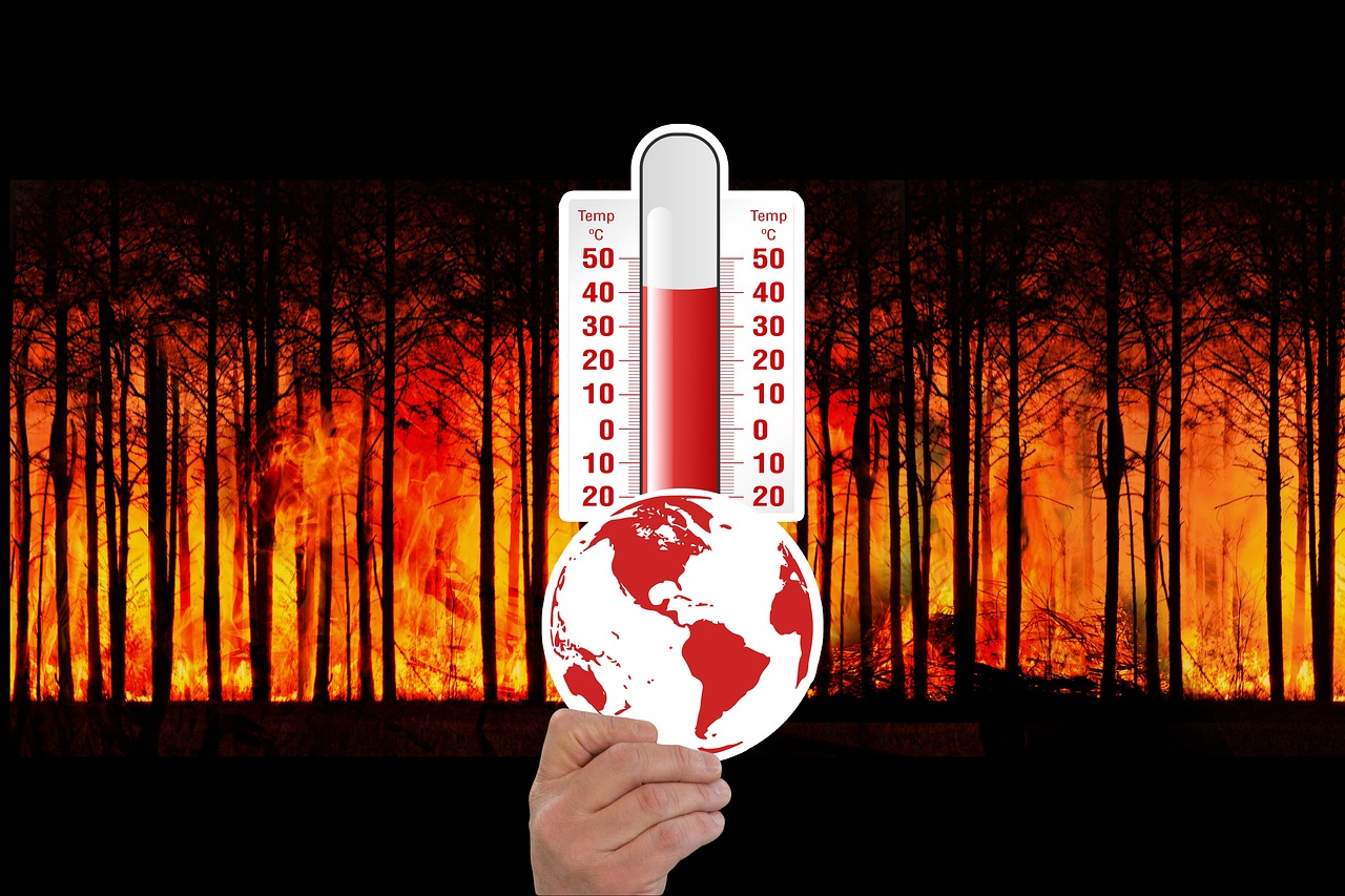 Changement climatique : les associations pointent le manque de réalisme dans la stratégie française