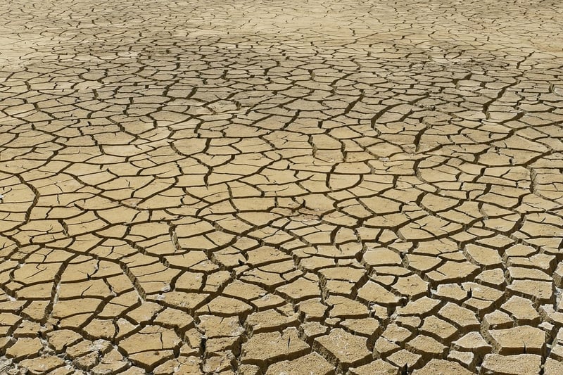 Méga-COP : Peut-on encore espérer combattre le changement climatique avec des conférences réunissant 50 000 participants ?