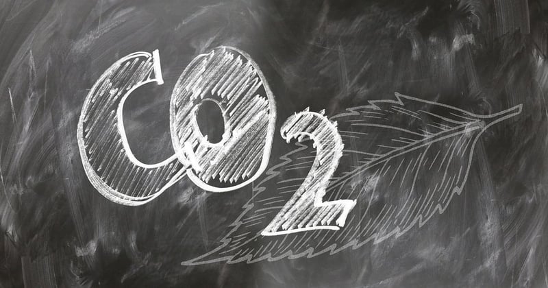Comment le bilan carbone influence les choix alimentaires