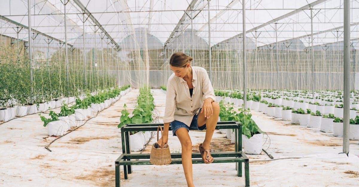 Agriculture durable : 5 pratiques innovantes pour une production écoresponsable