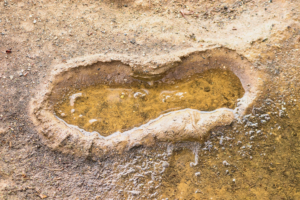 Podcast : Climat en tension, empreinte écologique sous la loupe