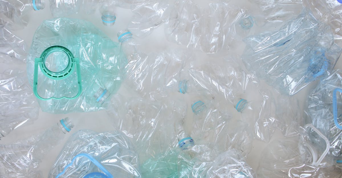 Recyclage des plastiques : comprendre les enjeux et les méthodes efficaces
