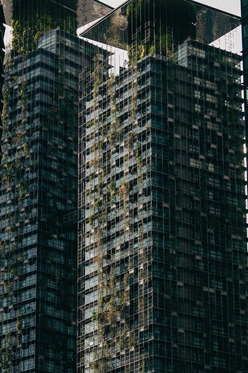 Des Aliments Innovants : Comment les Noix et les Algues Contribuent à Réduire le Carbone et Combattre le Changement Climatique