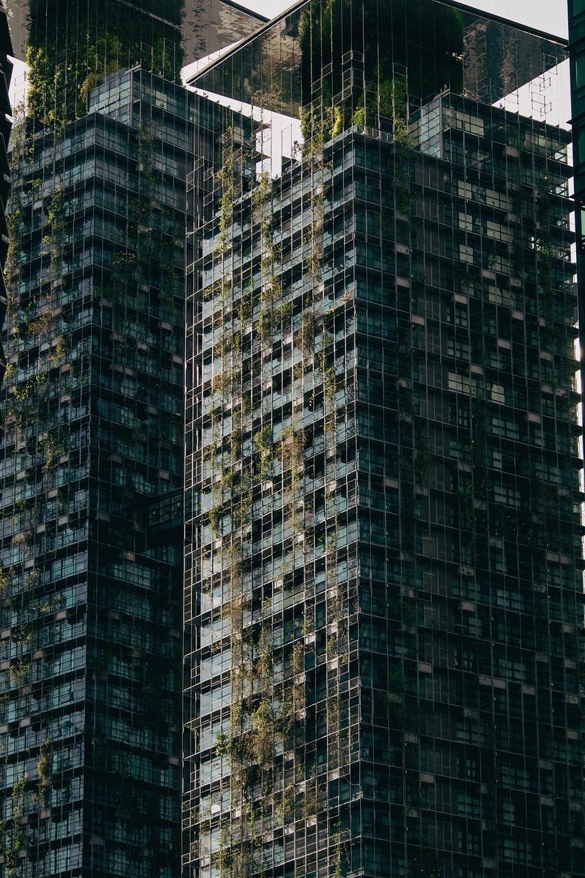 Des Aliments Innovants : Comment les Noix et les Algues Contribuent à Réduire le Carbone et Combattre le Changement Climatique