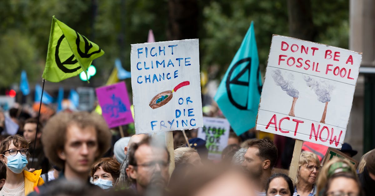 Action climatique : stratégies innovantes pour un avenir durable