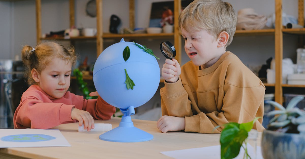 Éducation à l’environnement : Comprendre les enjeux pour préserver notre planète