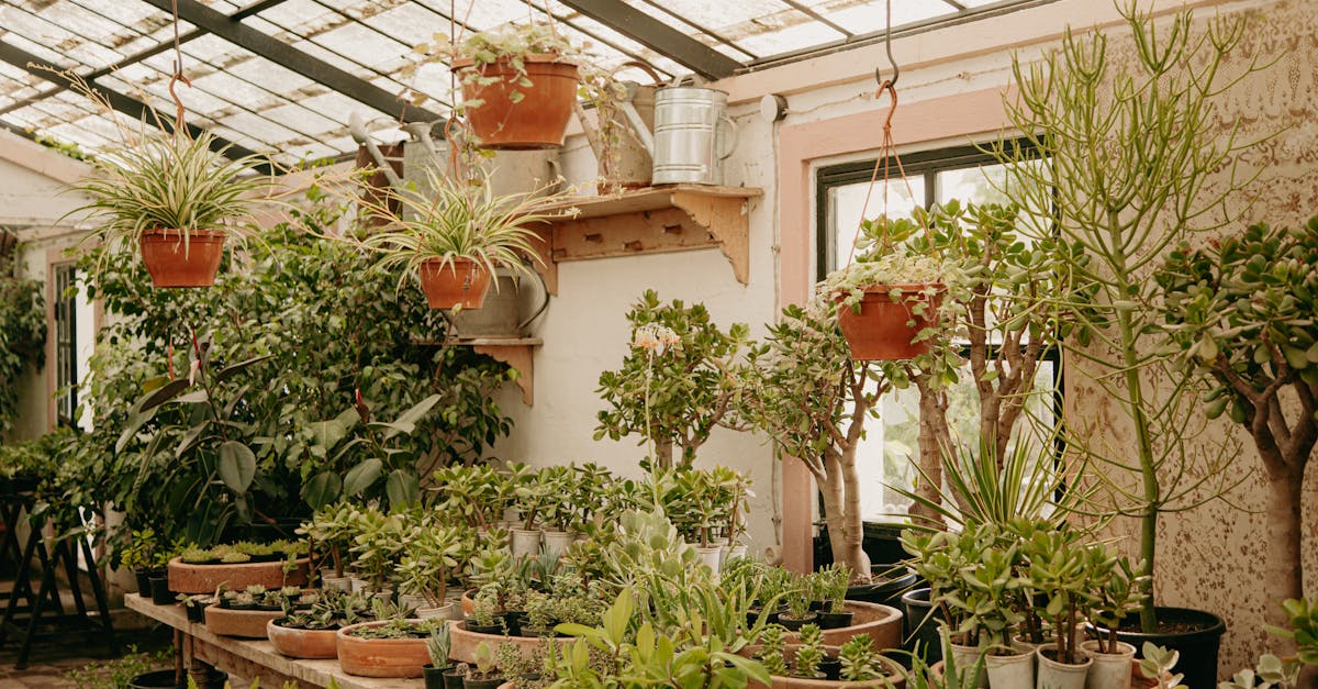 Plus de verdure : 10 idées pour un jardin plus écologique