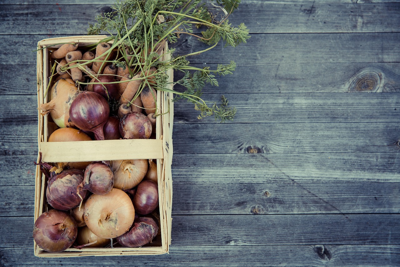 Consommation durable : des conseils pratiques pour adopter un mode de vie éco-responsable