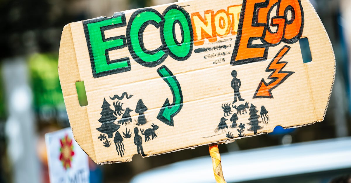 Changement climatique : impacts sur les écosystèmes et solutions durables