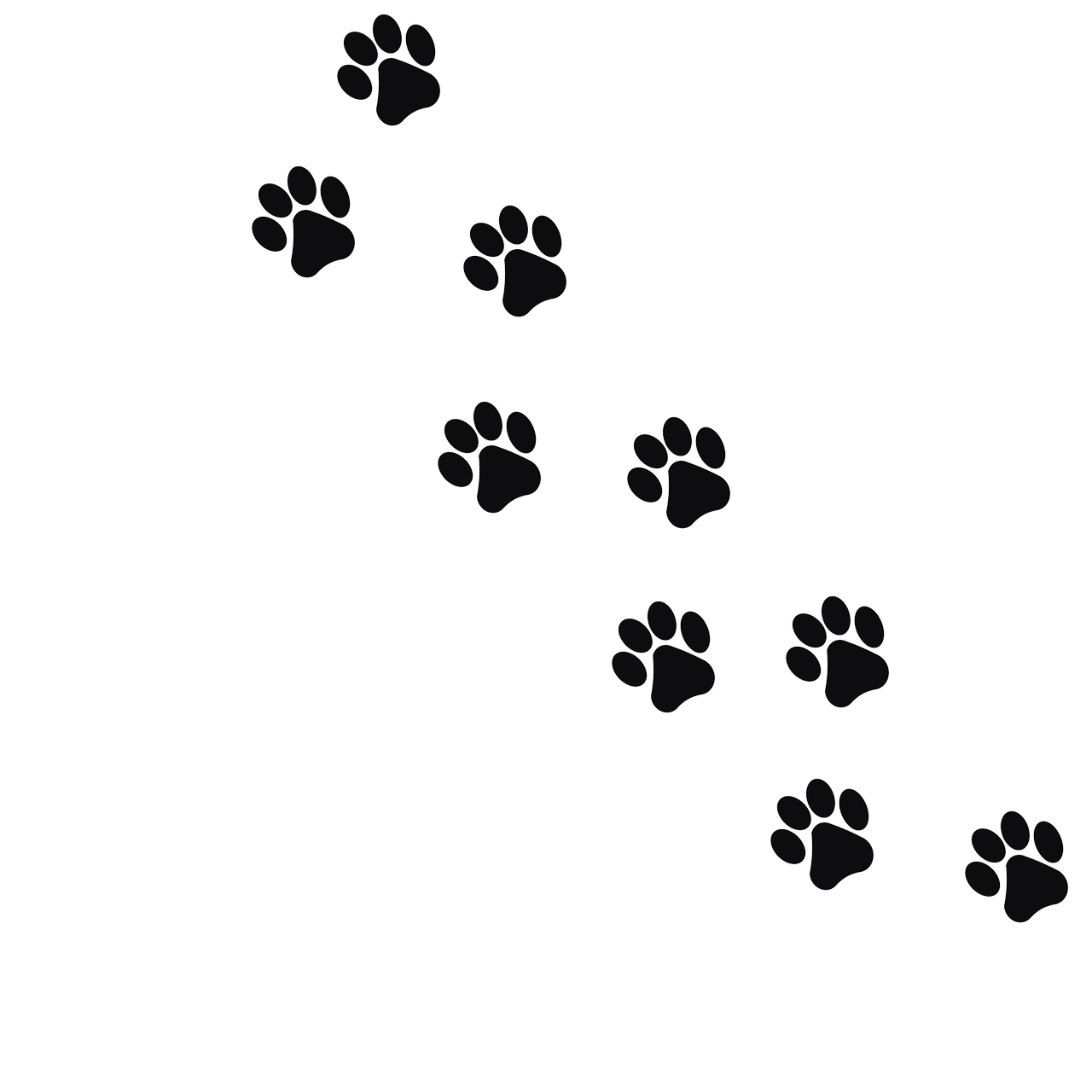 Les innovations technologiques au service du bilan carbone