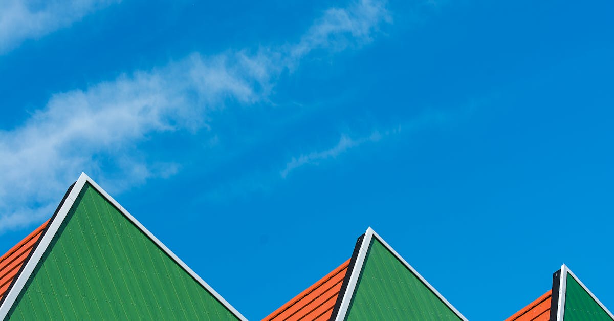 Toits verts : avantages écologiques et économiques pour les espaces urbains