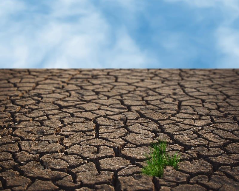 les défis du changement climatique pour les professionnels de la santé