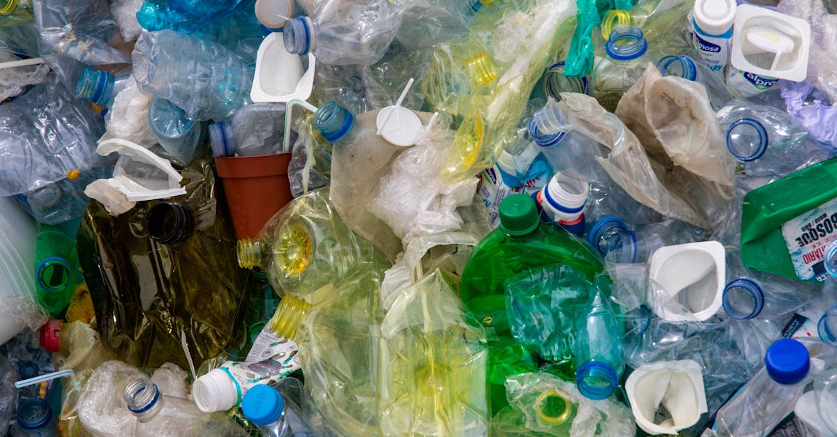 Sensibilisation environnementale : Comment agir pour un avenir durable
