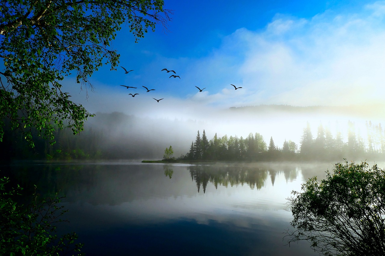 Écologie urbaine : le rôle du bilan carbone dans l’urbanisme