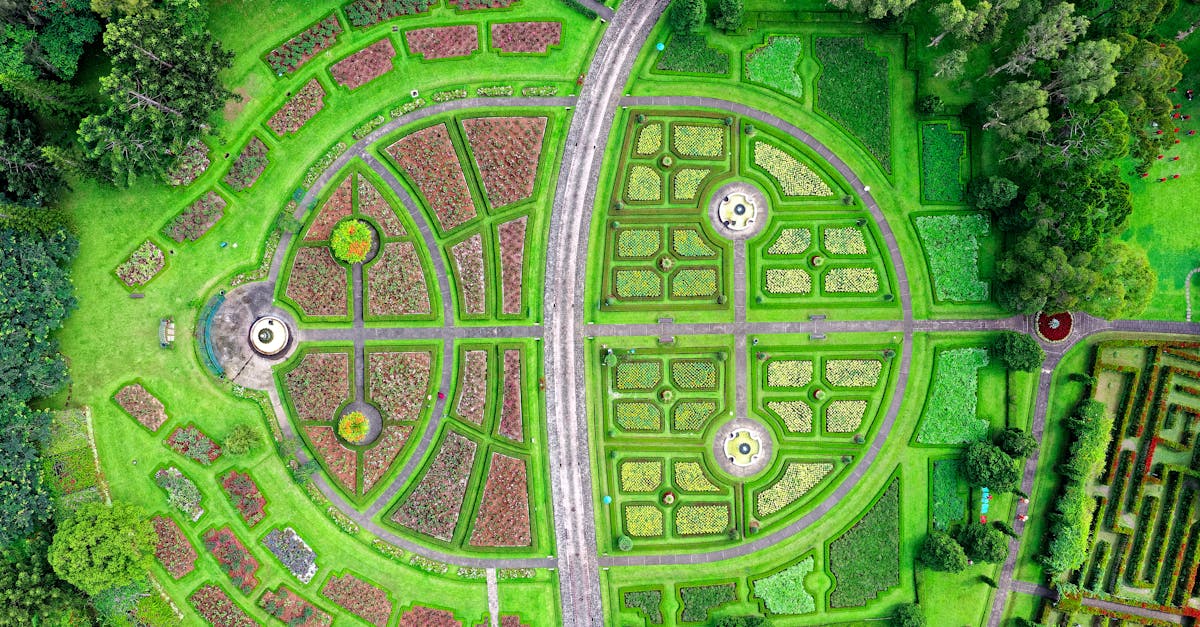 Voies végétales : Comprendre leur rôle dans le développement durable