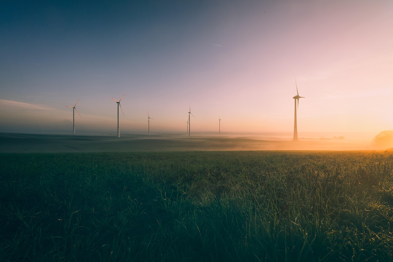 Environnement : 50 pays se rassemblent en Colombie pour inaugurer une ère post-énergies fossiles