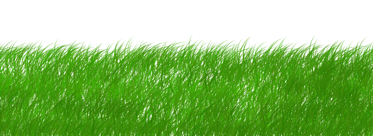 Bilan 2025 : avancées en matière de durabilité et de lutte contre le changement climatique