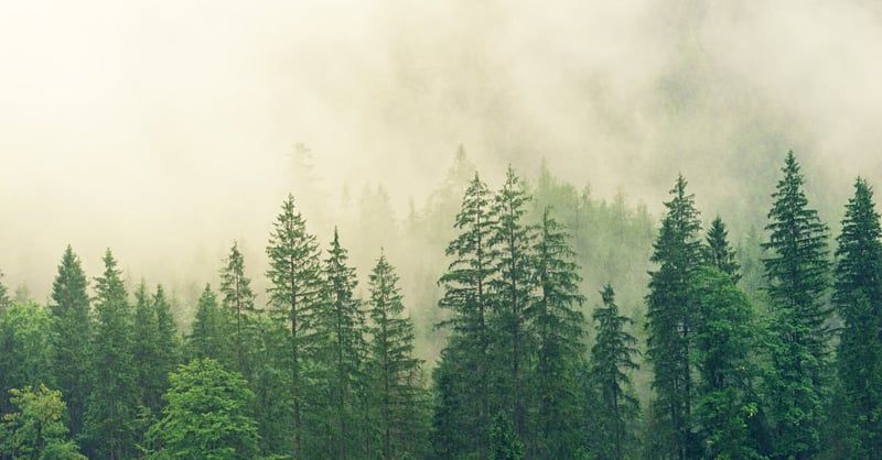 Réformes écologiques : Vers une transition durable pour notre planète