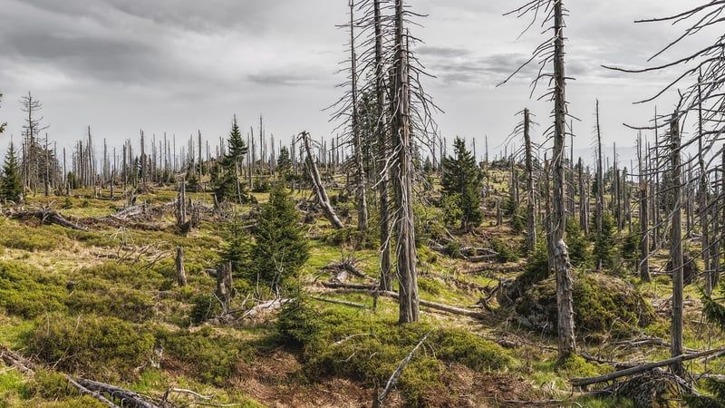 Évaluez votre impact environnemental : calculez votre empreinte carbone et votre consommation d’eau