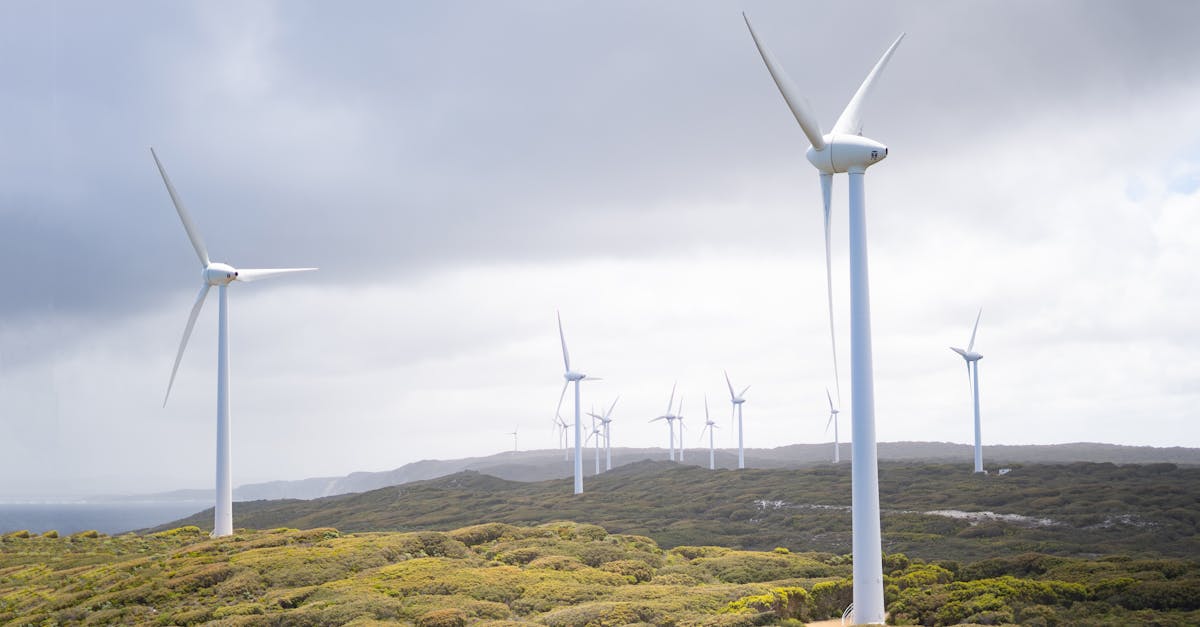 Développement des énergies renouvelables : enjeux et perspectives pour l’avenir