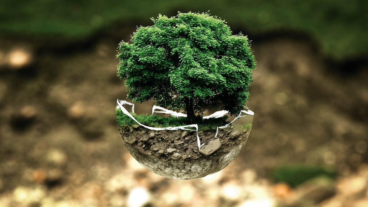 Comment notre alimentation façonne l’avenir de la planète : l’impact environnemental de nos choix alimentaires
