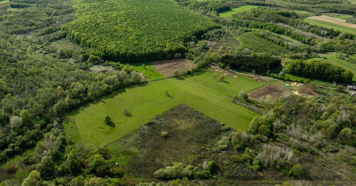 Consensus écologique : Comprendre les mécanismes de collaboration pour préserver notre planète