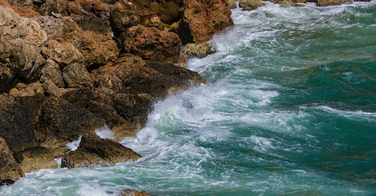 Financement climatique : Comment les investissements verts transforment notre avenir