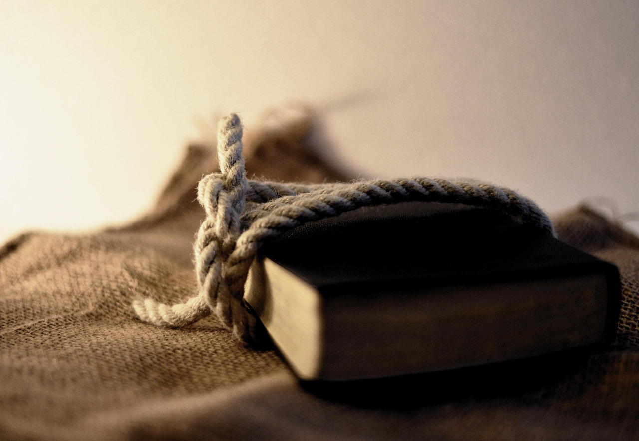 Comprendre les Origines du Changement Climatique : Données Essentielles sur le Climat en 2024