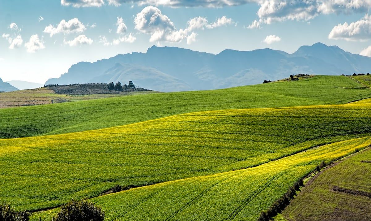 Les Conditions Essentielles pour Maximiser les Bénéfices Climatiques de l’Agriculture Urbaine