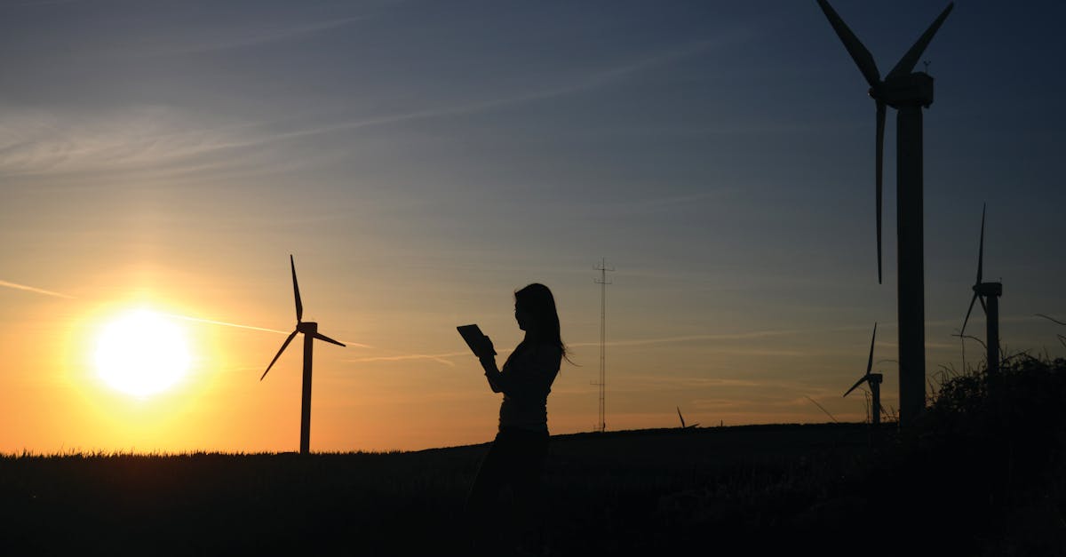 Initiation écologique : Comprendre les bases de la durabilité pour un avenir respectueux de l’environnement