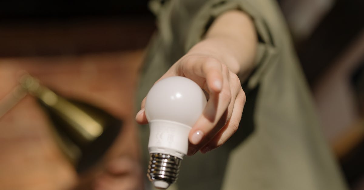 Innovation durable : Comment les nouvelles technologies transforment notre avenir écologique