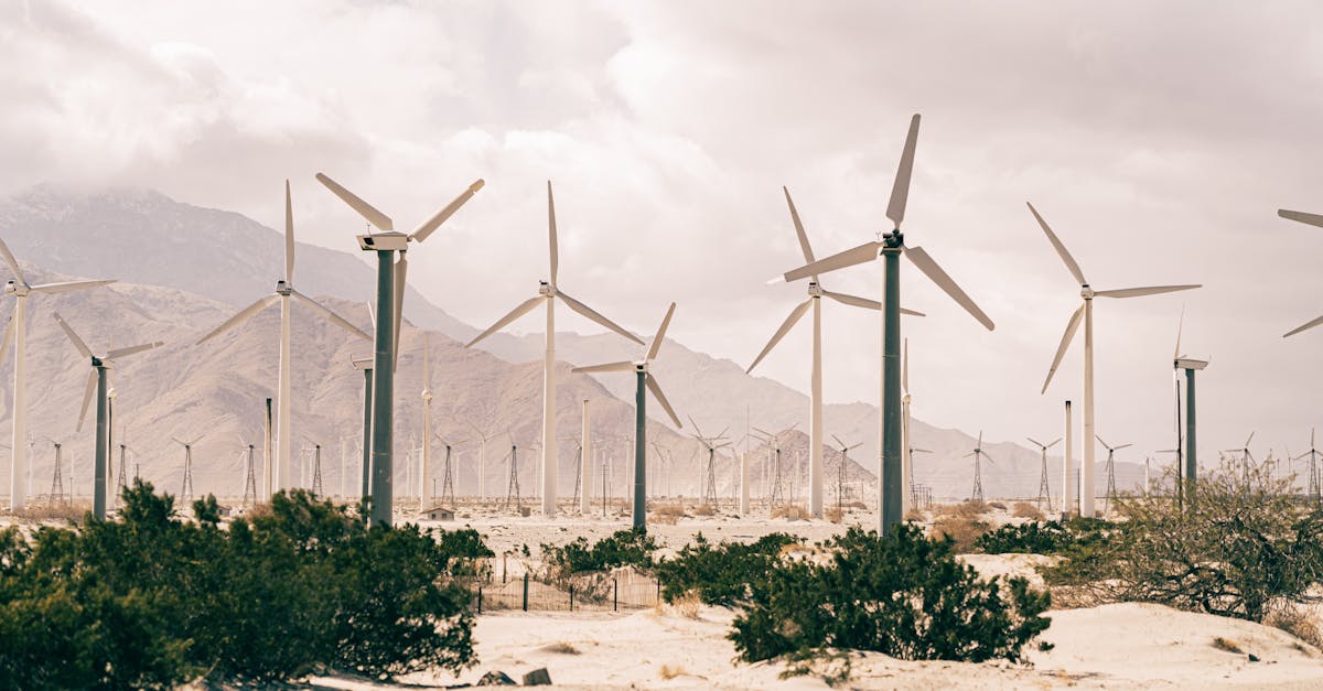 Pratiques de développement durable : Comment adopter des gestes éco-responsables au quotidien