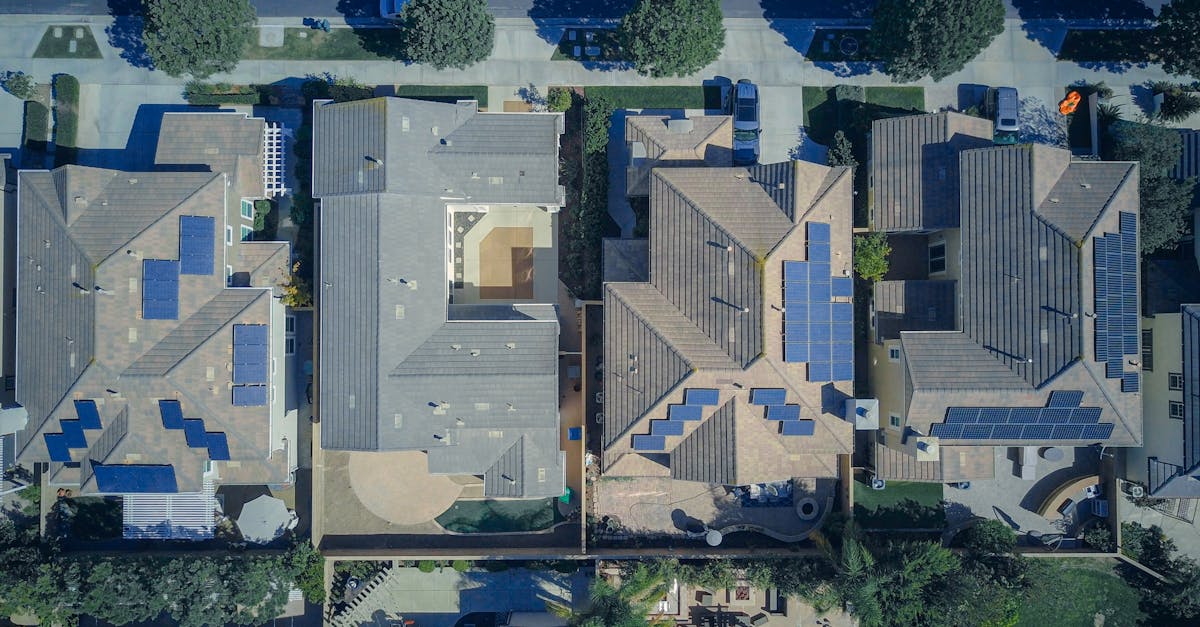 Urbanisme écologique : vers une ville durable et résiliente