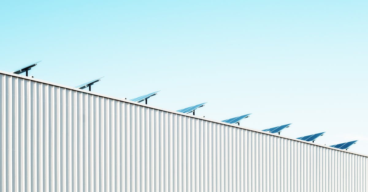 Responsabilité environnementale : Comment agir pour un avenir durable