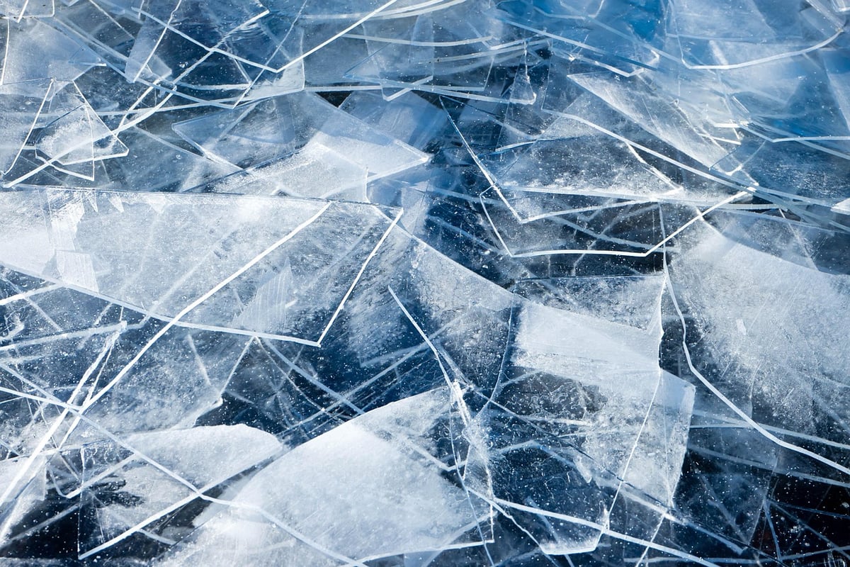 L’impact du changement climatique sur le cycle du carbone