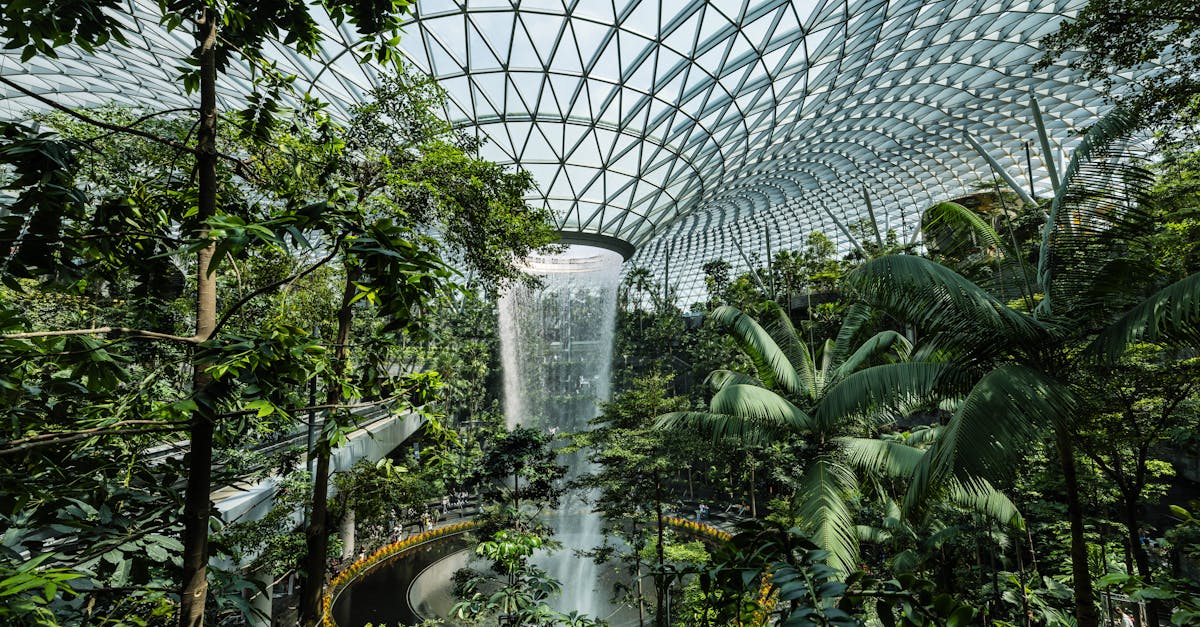 Sustainable cities : vers un urbanisme éco-responsable et durable