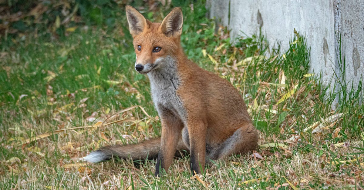 Servitudes environnementales : comprendre leur impact sur l’aménagement du territoire
