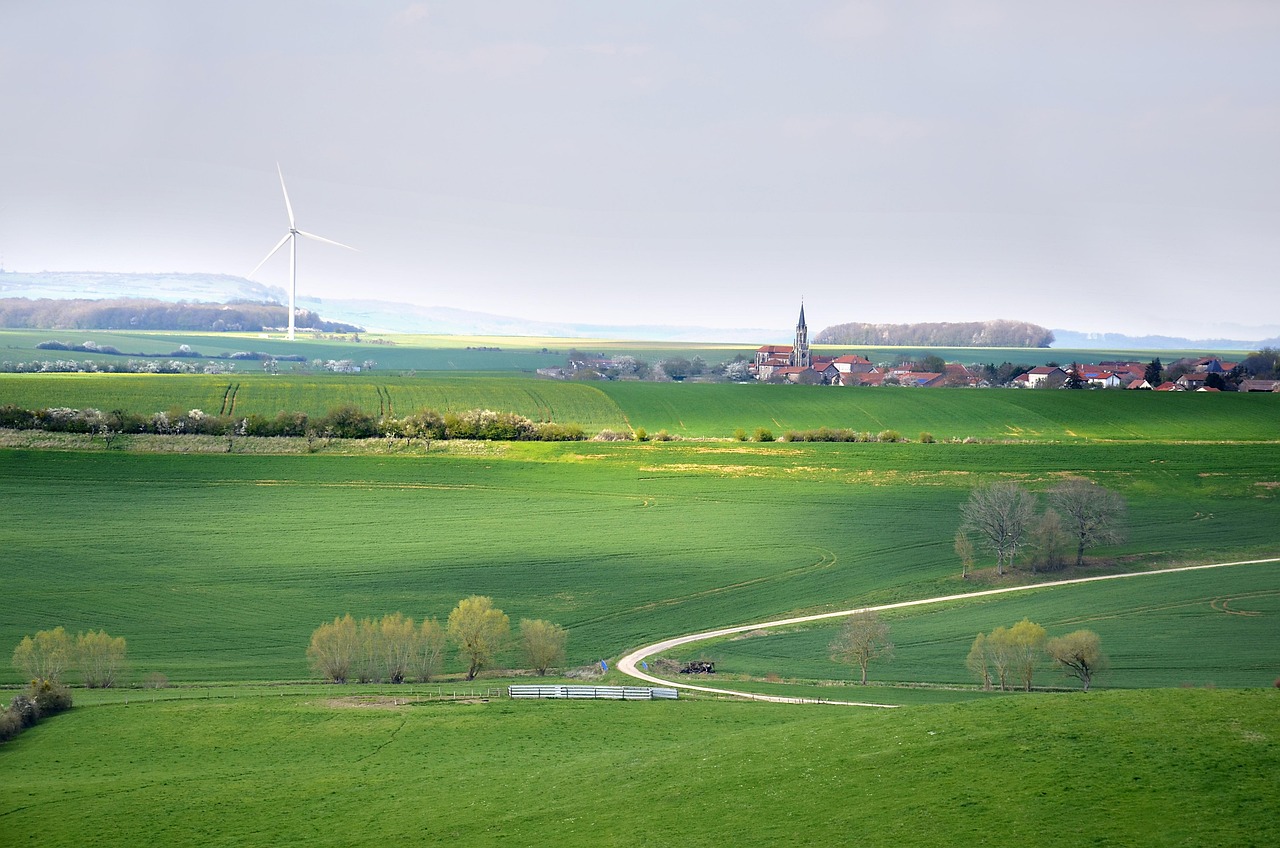 Stratégies et enjeux de la politique de développement durable