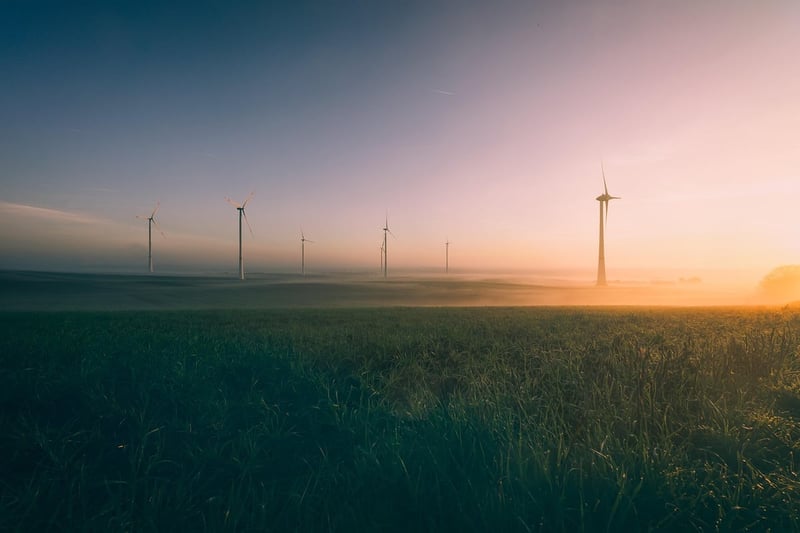 Écologie et football : pourquoi l’environnement demeure la grande oubliée du ballon rond