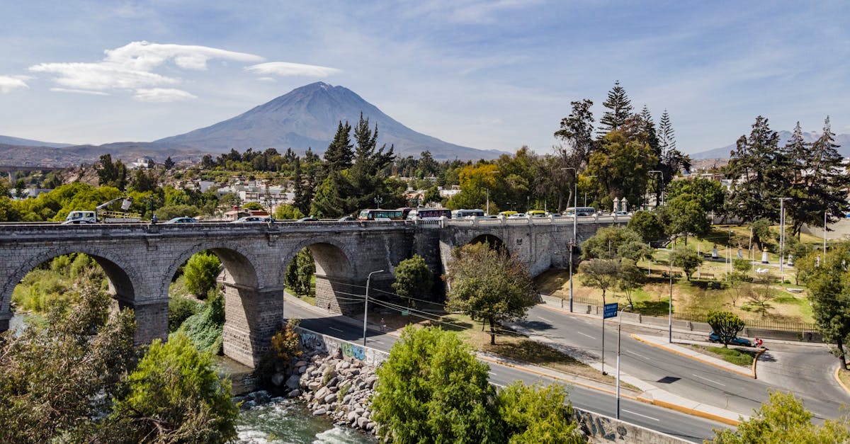 Nature en ville : comment favoriser la biodiversité urbaine