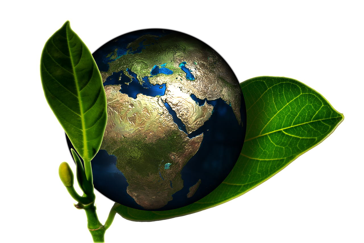 Notre dévouement envers la protection de l’environnement