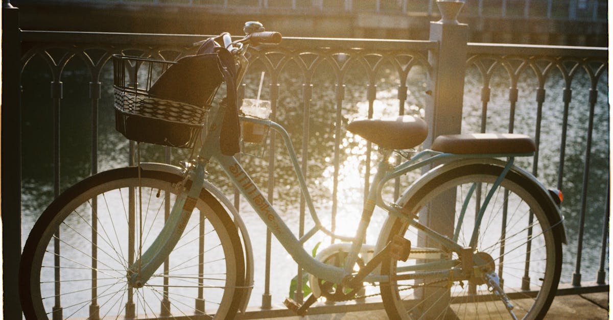 Cycle de l’eau : Comprendre son importance pour notre environnement