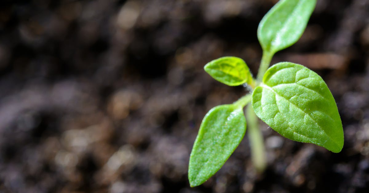 Ressources en écologie : Guide complet pour une adoption durable