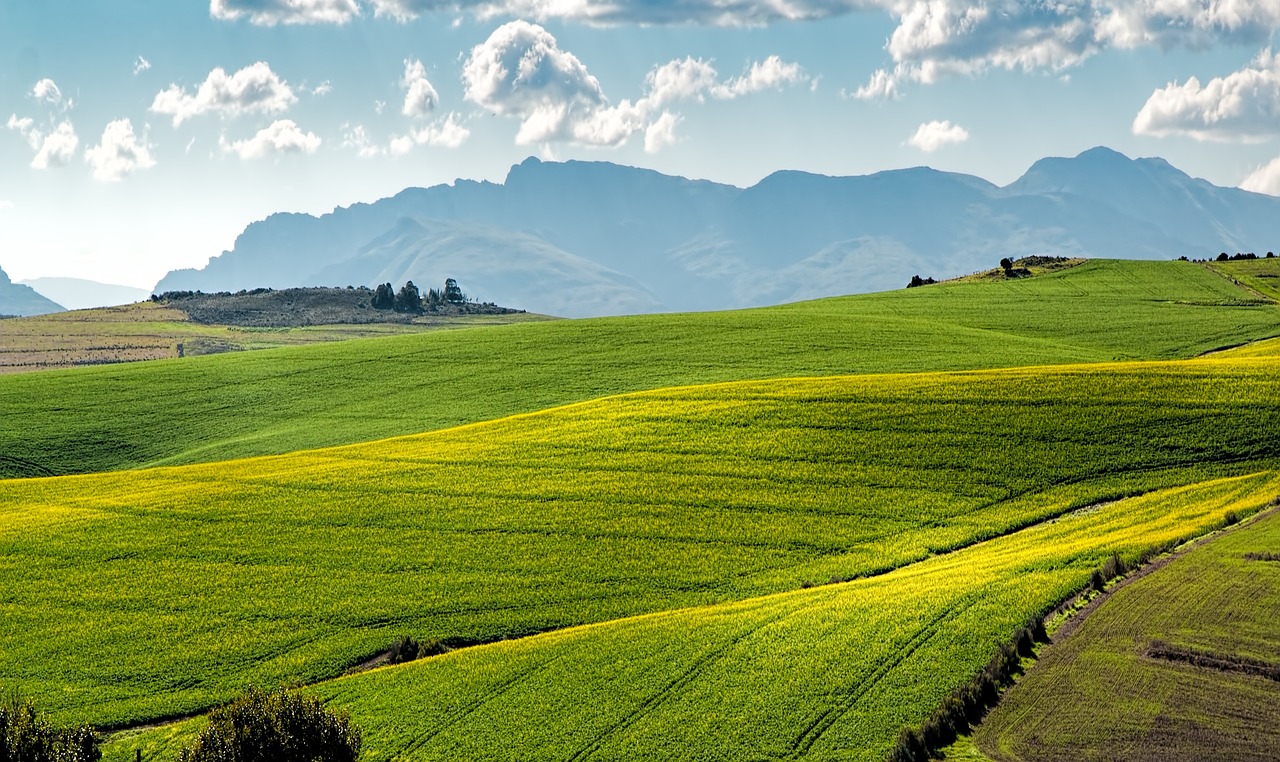 découvrez l'agriculture urbaine, une approche innovante qui transforme les villes en espaces de production durable. apprenez comment cultiver des aliments frais et locaux, favoriser la biodiversité et renforcer les communautés en intégrant la nature dans notre quotidien urbain.