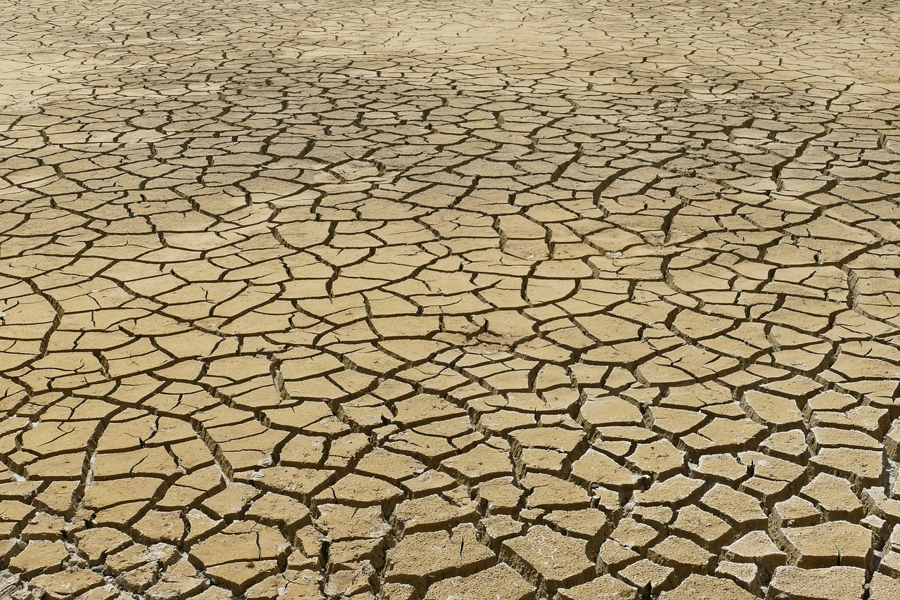 découvrez les enjeux majeurs du changement climatique, ses impacts sur notre planète et les actions nécessaires pour préserver notre environnement pour les générations futures.