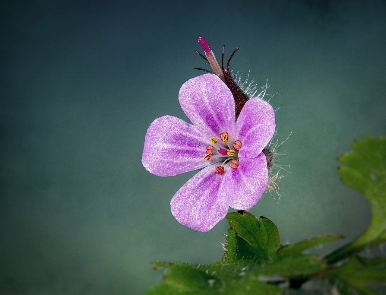 découvrez les micro-forêts, un concept innovant de reforestation urbaine qui favorise la biodiversité tout en améliorant la qualité de l'air et le cadre de vie en ville. apprenez comment ces petites forêts peuvent transformer notre environnement et contribuer à un futur durable.