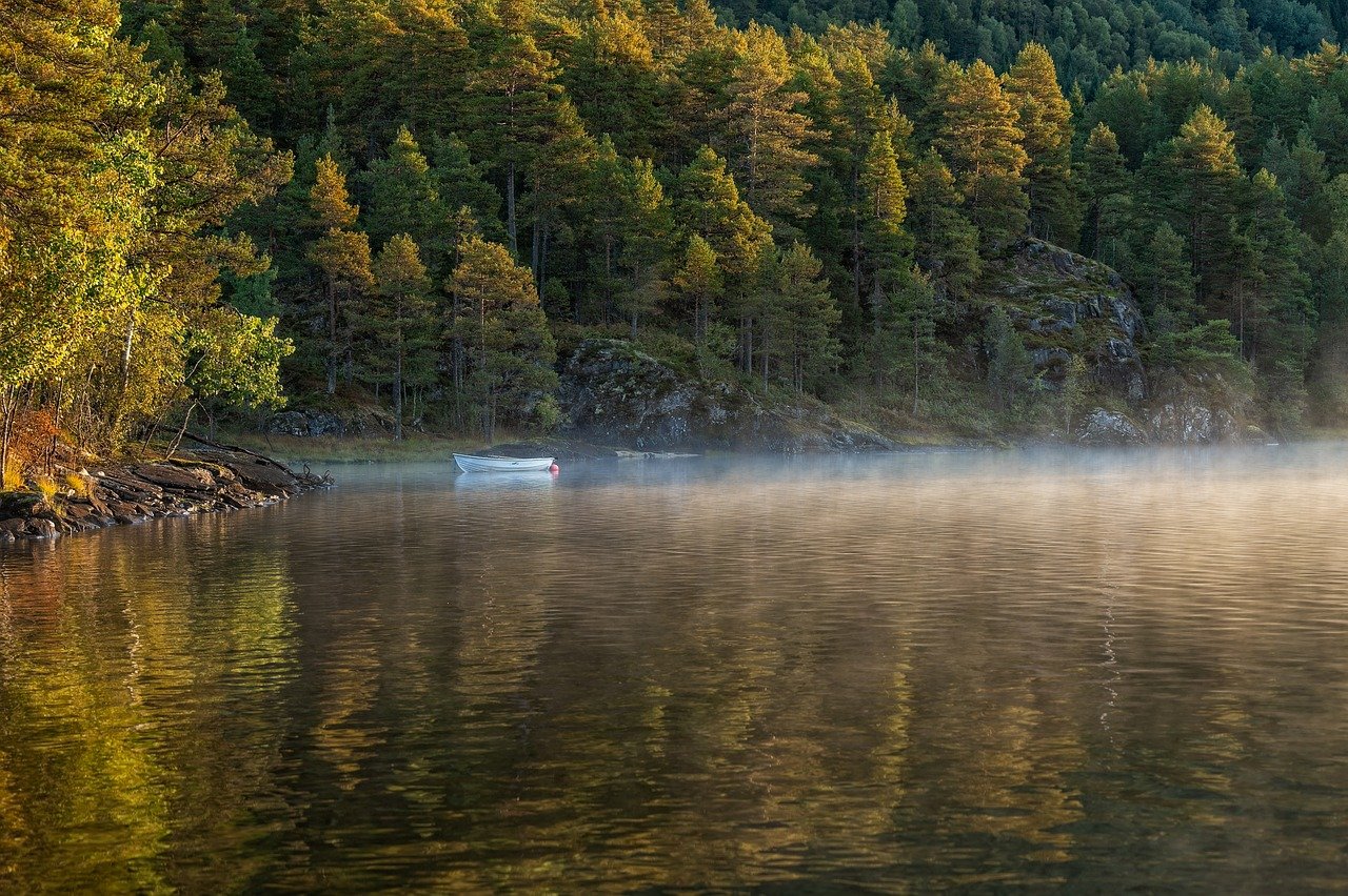 découvrez l'importance des forêts urbaines pour la biodiversité, la qualité de l'air et le bien-être des citadins. apprenez comment elles transforment nos villes en espaces plus verts et plus agréables à vivre.